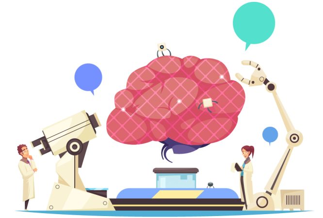 Neurociencia y Psicología en la Toma de Decisiones Profesionales